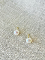 HALO- Gold Fresh water pearl stud