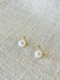 HALO- Gold Fresh water pearl stud