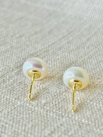 HALO- Gold Fresh water pearl stud