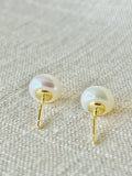HALO- Gold Fresh water pearl stud